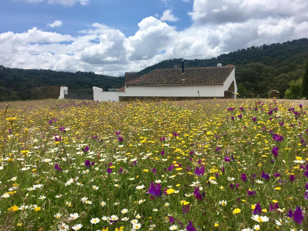 Landhaus Valle Corchoso *