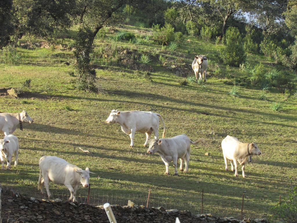 Landhaus Valle Corchoso Cala